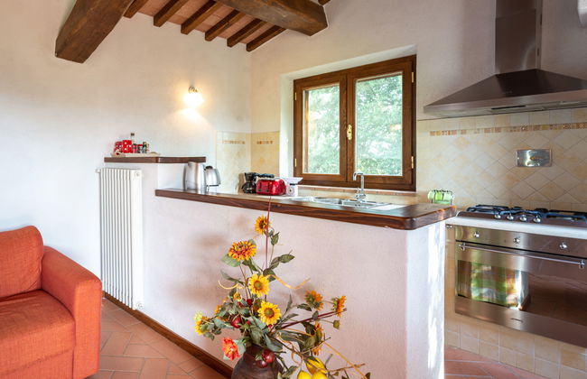 Fonte al Tesoro - Foto 7