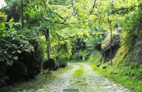 MyStay - Casa do Carmo - Foto 41