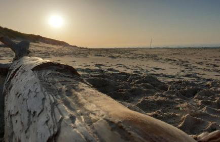 Słowińskie Widoki domki Flora, Fauna, noclegi Smołdziński Las - Foto 50