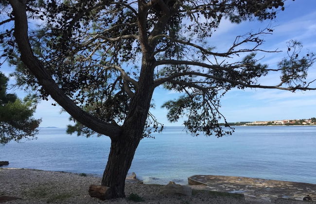 Ana's apartments - Foto 26