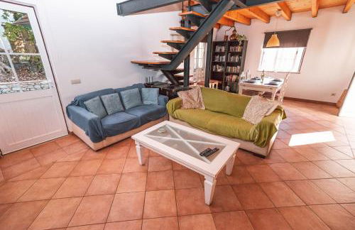 Monte 3 Alfarrobeiras - Foto 18