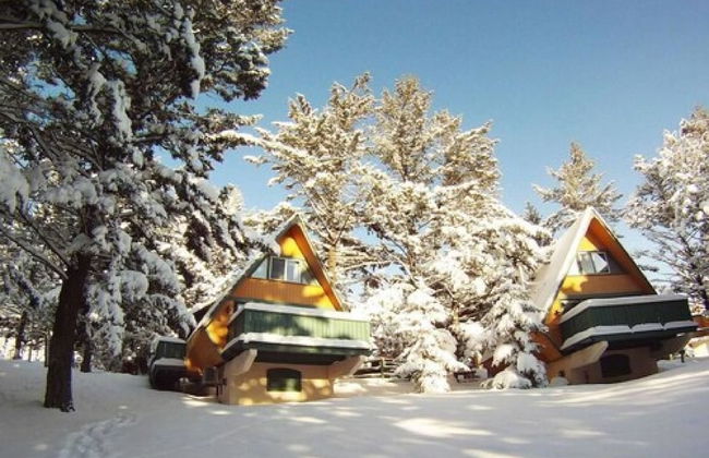 Douglas Fir Resort and Chalets - Photo 31