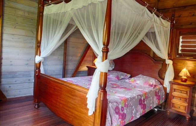 Le Parc aux Orchidées - Foto 9