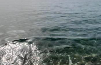 Brisas del Mar Mediterráneo - Foto 26