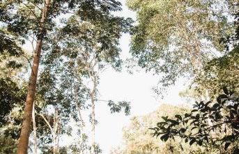 Chalé Suíço Nupcial - Chalés Belo Monte - Sítio Belo Monte - Foto 19