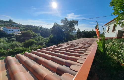 A Casa dos Avós - Alojamento Local - Foto 57