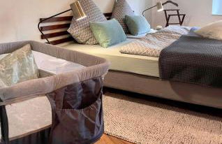 Großzügige Wohnung direkt in der Altstadt Erfurts - Foto 19