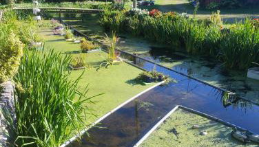 Altana całoroczna Vira numer 7 Herbergerówka Agroturystyka na wsi - Foto 5