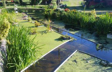 Altana całoroczna Vira numer 7 Herbergerówka Agroturystyka na wsi - Foto 5