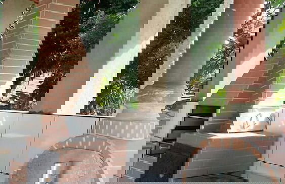 Fazenda Olaria - Photo 12