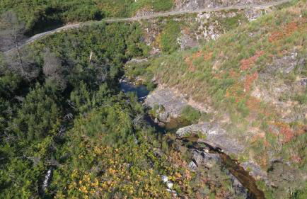 Casa do Carvalhal - Foto 50