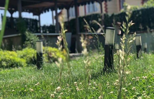 Gis Airport - Photo 14