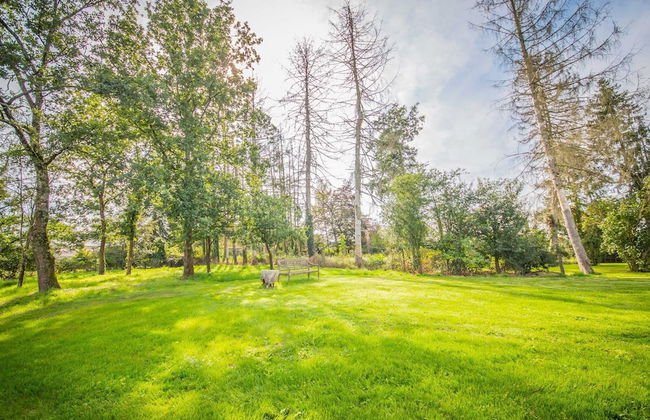 Gite Ma Dame Jeanne in Durbuy With a Sauna - Foto 38