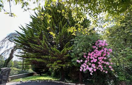 Annsborough House Castlewellan - Foto 40