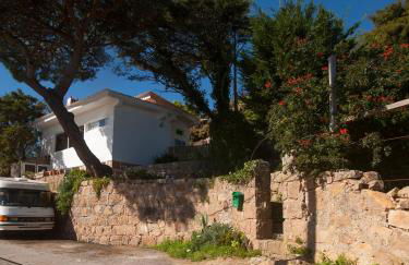 The Shelter - Foto 16