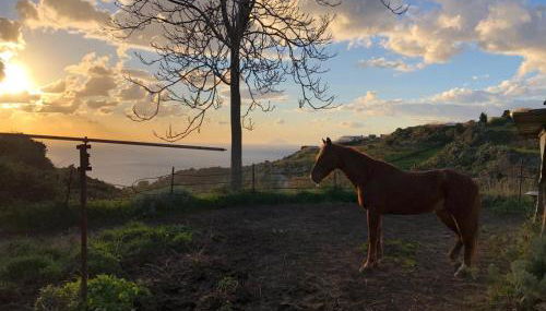 agriturismo u zu peppino - Foto 4