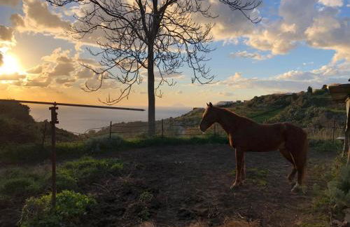agriturismo u zu peppino - Foto 4