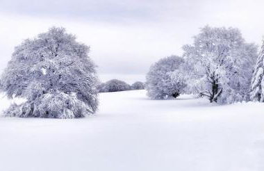L'Oustalou - Tiny house en Aubrac - calme & nature - Foto 57
