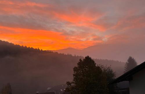 Black Forest Brandenkopfblick - Foto 15