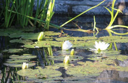Ferienhaus Jägerhaus Oppach Privathaus - Foto 58
