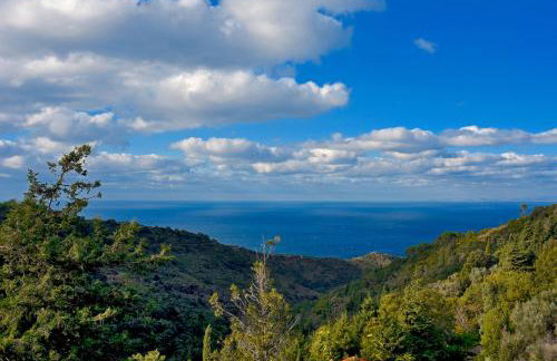 Endless Green 4 Arethousa Ikaria - Photo 27