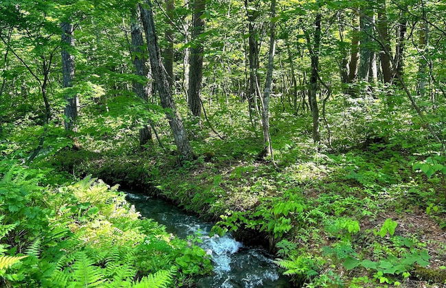 Creek House Hakuba - Foto 30