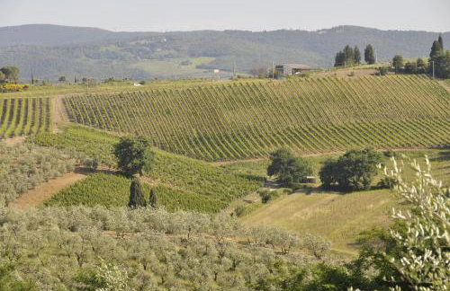 Agriturismo Renai e Monte II - Foto 62