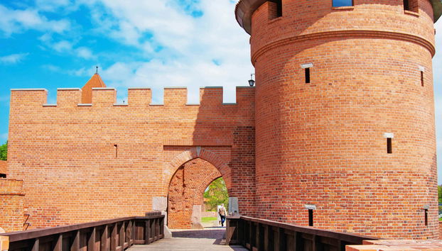 Gdansk & Malbork Castle Guided Tour