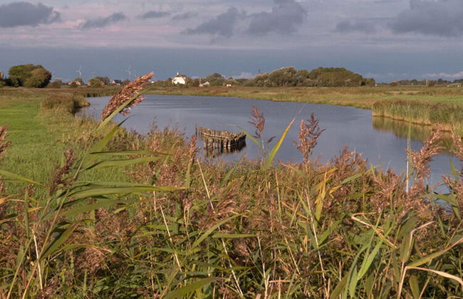 Ferienwohnung im Reetdachhaus auf der Pellworm - Foto 18
