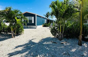 Navy Flamingo - Foto 24