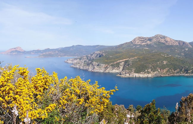 Corsica Paradise - Photo 28