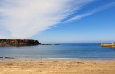 The Herring Queen - Foto 11