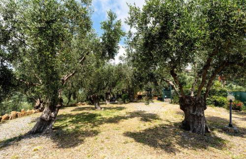 Apartment Garden by Interhome - Foto 43