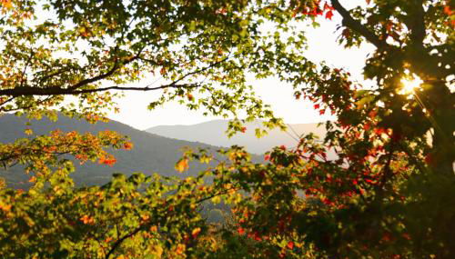 16 Village Run... 2 Bedroom Condo by RedAwning - Foto 2