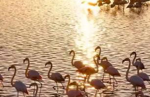 Le Nova blue les pieds dans l'eau - Foto 15