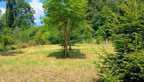 Klimatyczne Siedlisko - Foto 2