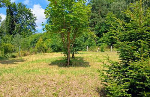 Klimatyczne Siedlisko - Foto 2