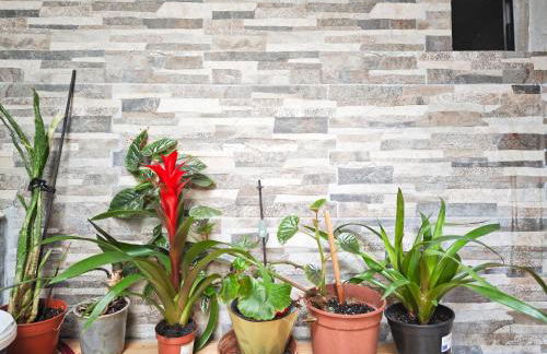 Dal Monsingore - Foto 35