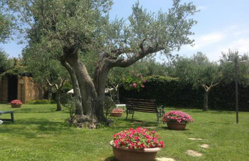 Agriturismo Villa Vetiche - Foto 18