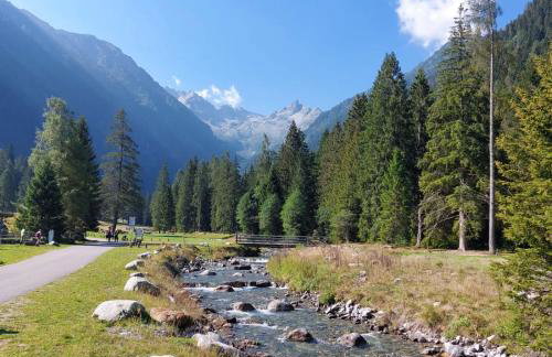 Casa Roby - Marilleva 1400 in Val di Sole - Photo 12