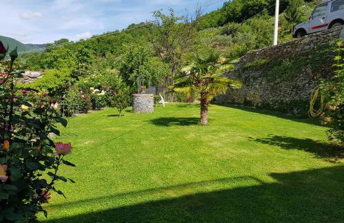 Green House - Foto 13