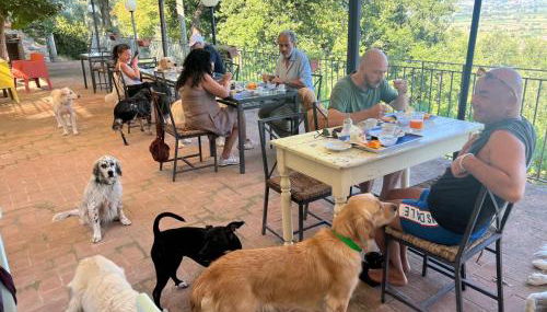 SetterHouseAgriHotel - Photo 3