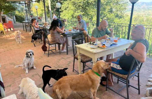 SetterHouseAgriHotel - Photo 3