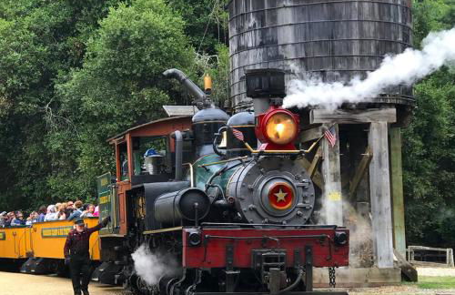 Evergreen Escape - Foto 43