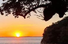 maison avec jardin et parking privé - Foto 36