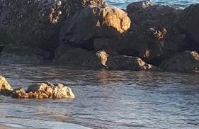 Spiaggia Serena - con giardino e box a 10 mt dal mare - Foto 23