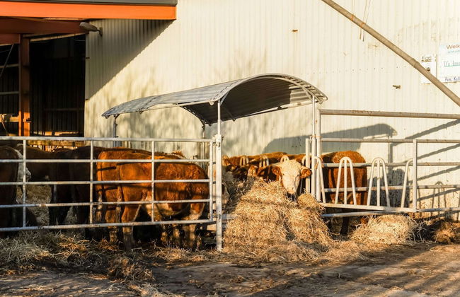 Charming Vacation Home With Terrace - Photo 36