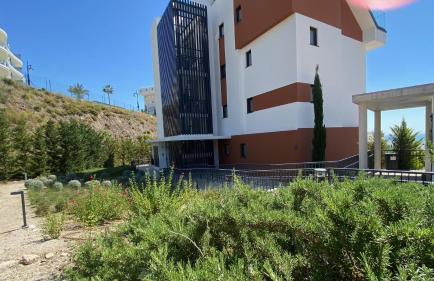 Blue Lady by the Sea - Photo 60