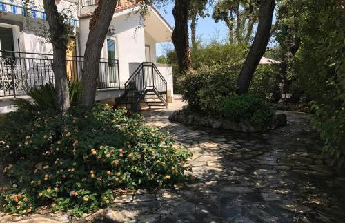 Buellis House - Foto 38