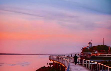 Paradise Villa - Photo 34